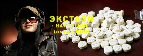 гидра Каменка