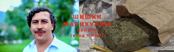 гашик Касимов