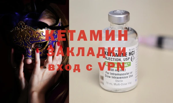 гидра Каменка