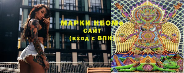 гидра Каменка