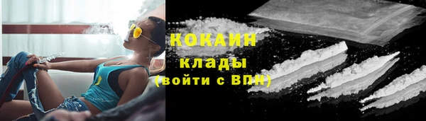 гидра Каменка