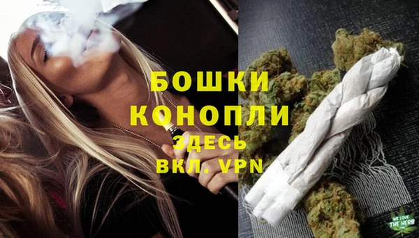 гидра Каменка