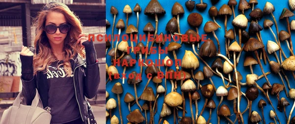СК Карпинск