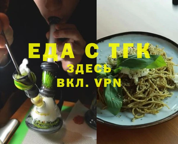 гидра Каменка