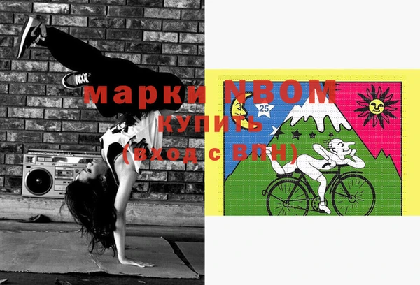 гашик Касимов